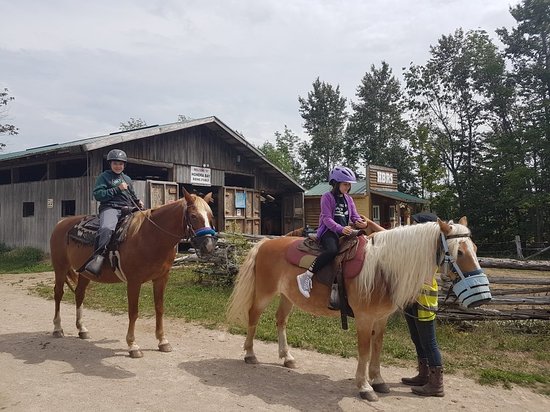 Honora Bay Riding Stable