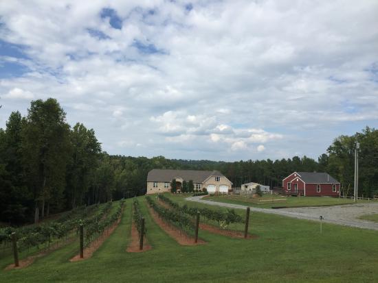 Sweet Home Carolina Vineyard & Winery
