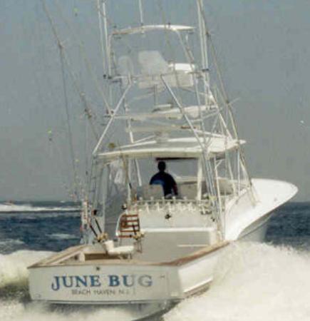 June Bug Sportfishing