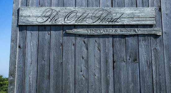 The Old Third Vineyard