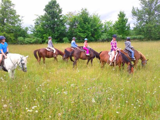 Horsin Around Riding Ranch