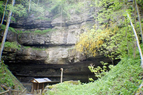 Organ Cave