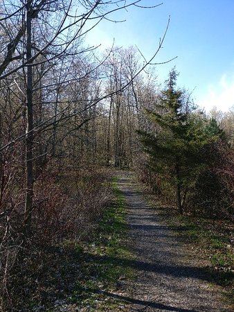 Westside Trails
