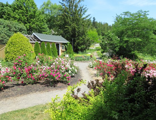 Jardin floral de La Pocatiere