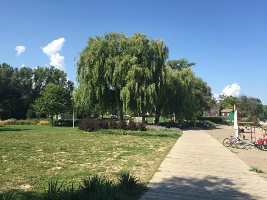 Marie Curtis Park