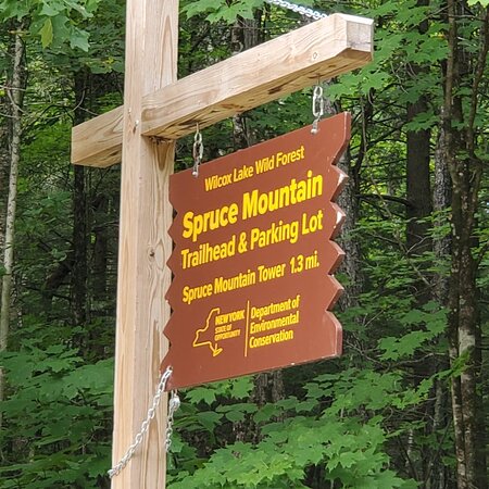 Spruce Mountain Trail