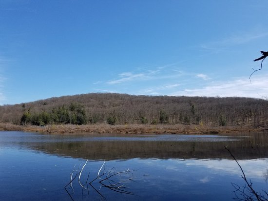 Merli-Sarnoski Couty Park