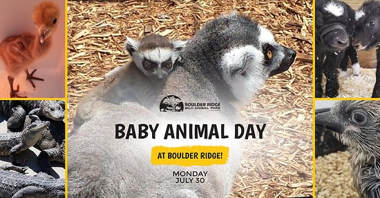 Boulder Ridge Wild Animal Park