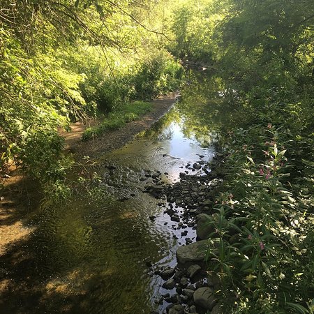 Birkdale Ravine
