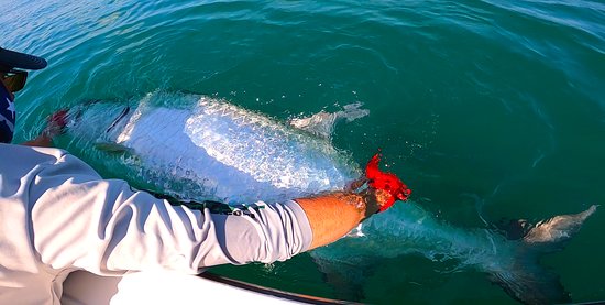 Florida Inshore Fishing Charters