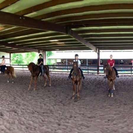 Pine Haven Stables & Riding Academy