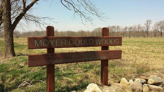 Moyer Gould Woods