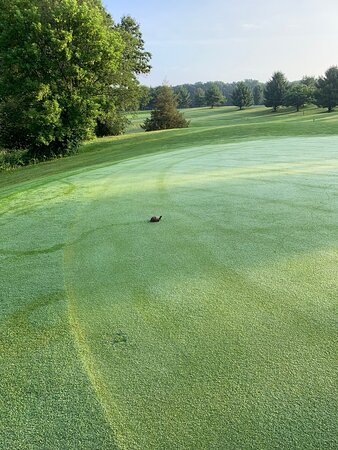 Hickory Ridge Golf Course