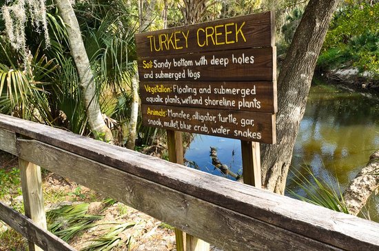 Turkey Creek Sanctuary