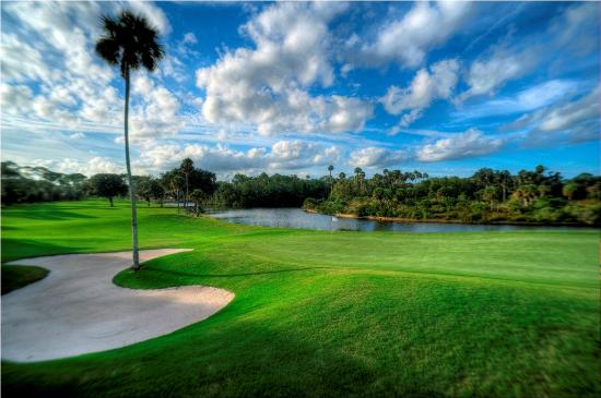 Palm Harbor Golf Club