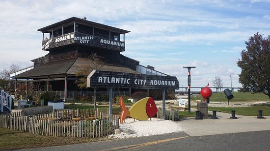 Atlantic City Aquarium Historic Gardner's Basin