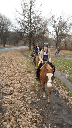 Kensington Stables in Brooklyn