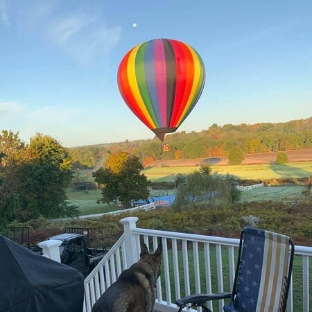 Enchanted Hot Air Balloon Tours