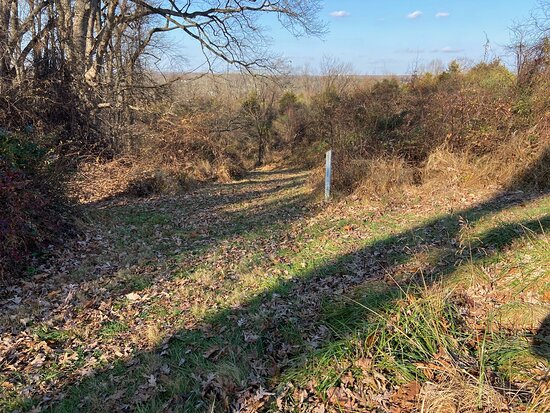 Howard County Conservancy