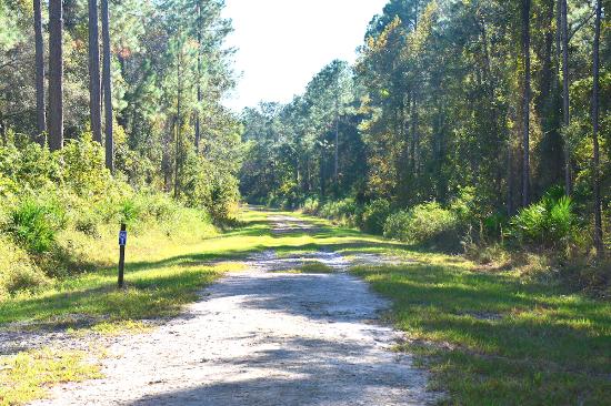 Bayard Conservation Area
