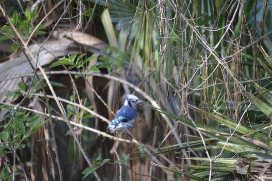 Key Vista Nature Park