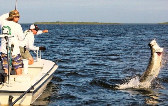 Florida Sport Fishing Charters