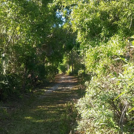 Pinelands Preserve