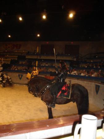 Medieval Times Maryland Castle