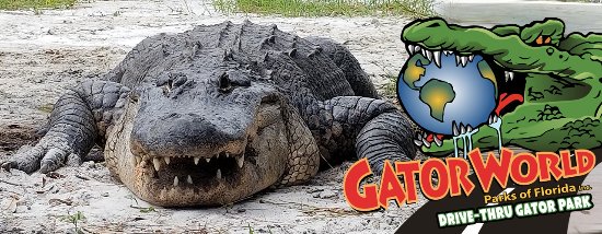 GatorWorld Parks of Florida Inc.