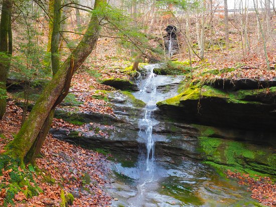 Boch Hollow State Nature Preserve
