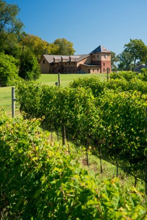 Chateau Bu-De
