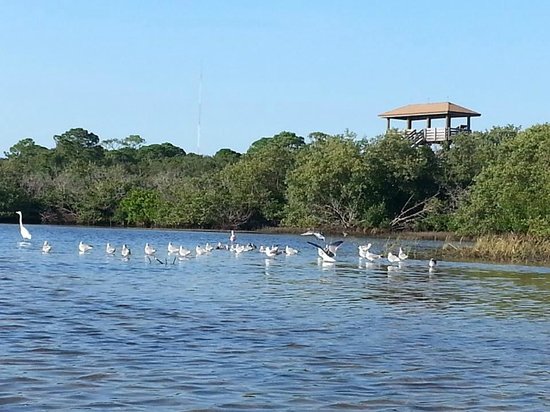Boca Ciega Millenium Park