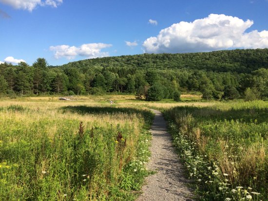 Roy H. Park Preserve