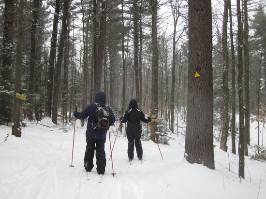 Windblown Cross Country Skiing and Snowshoeing