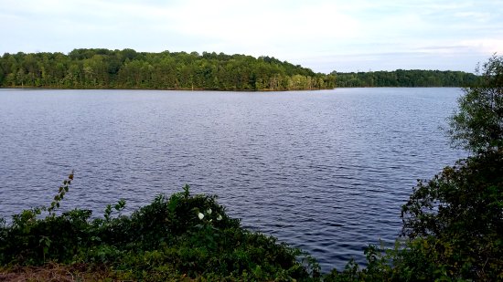 Lake Brandt Marina