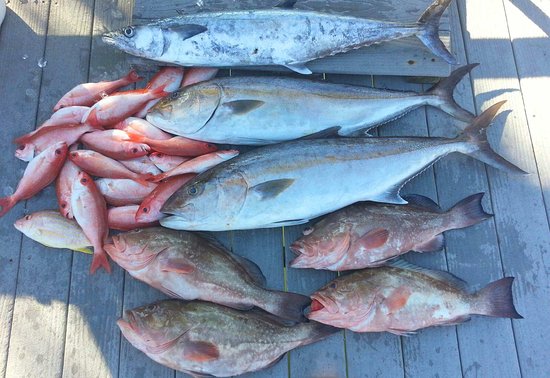 Fishin Conditions Charters