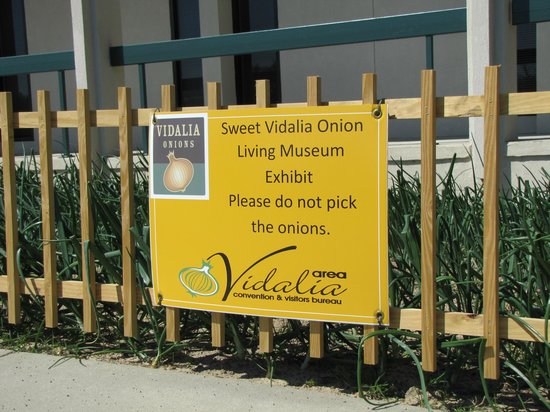 Vidalia Onion Museum
