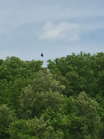Crow's Nest Nature Preserve