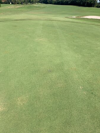 The Groves Golf Course