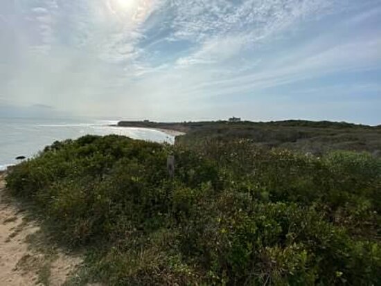 Amsterdam Beach Preserve