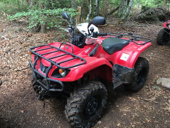 Rando Quad Abs